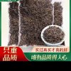 2020新茶上市金骏眉红茶茶叶散装春茶武夷山散装蜜香型250g666666666666