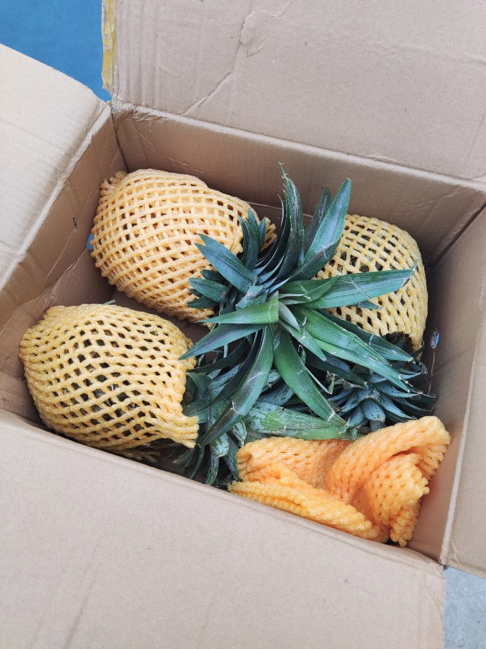[西沛生鲜]云南牛奶凤梨 带箱9斤 当季新鲜水果 酸甜多汁 产地精选晒单图