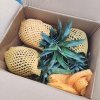[西沛生鲜]云南牛奶凤梨 带箱9斤 当季新鲜水果 酸甜多汁 产地精选晒单图