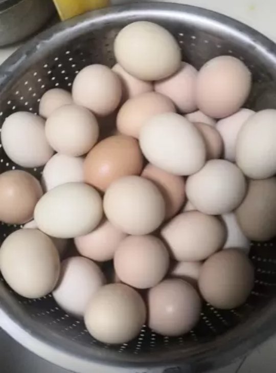 散养柴鸡蛋40枚装 破损包赔 新鲜土鸡蛋草鸡蛋笨鸡蛋 非鹌鹑蛋鸭蛋