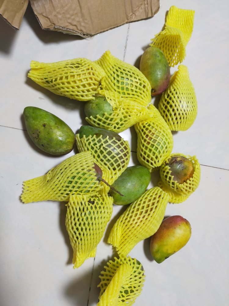 新鲜贵妃小芒果