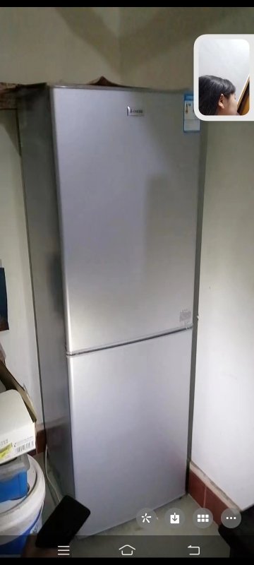 志高(CHIGO) BCD-228D升双门冰箱 两门小冰箱 家用冷藏冷冻小型电冰箱(星光银)晒单图