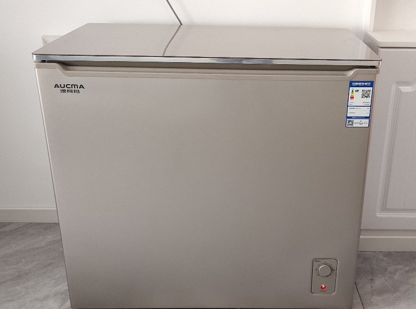 澳柯玛冰柜小型冷柜单温柜冷藏柜冷冻柜 206升 冰柜商用大容量顶开式