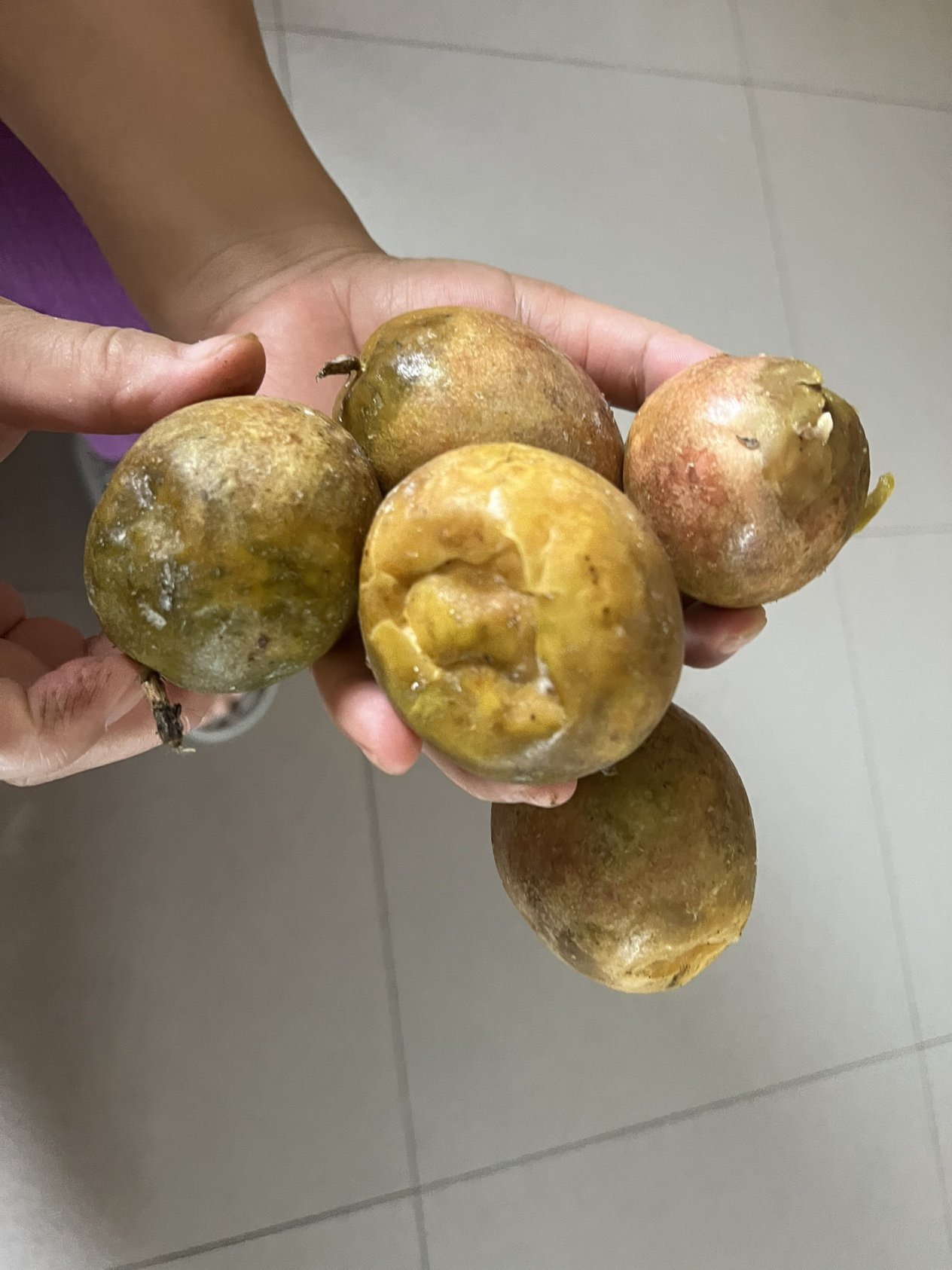 我们为您提供百香果果脯的优质评价,包括百香果果脯商品评价,晒单