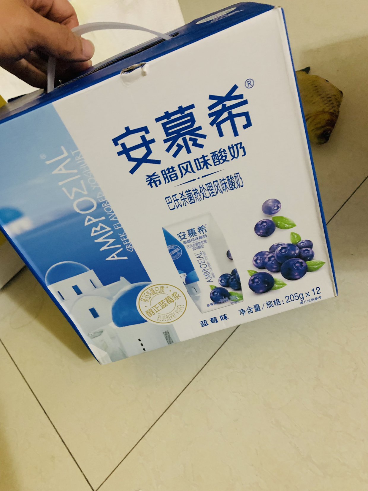 酸奶小白