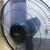 海尔(Haier)电风扇 三档调节 60分钟定时 俯仰调节 高度调节 高效电机 电风扇落地扇电扇风扇FSJ3510B晒单图
