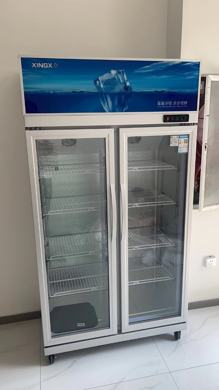 对开门 冷藏柜 立式冷柜 双门冰箱 双层玻璃 直观展示 lsc