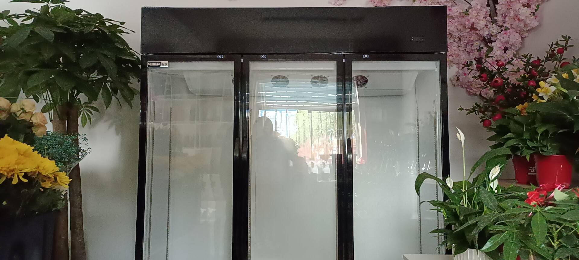松氏鲜花柜商用冷藏保鲜柜花店花束风冷展示柜立式风冷冰柜黑色三门1.8米晒单图