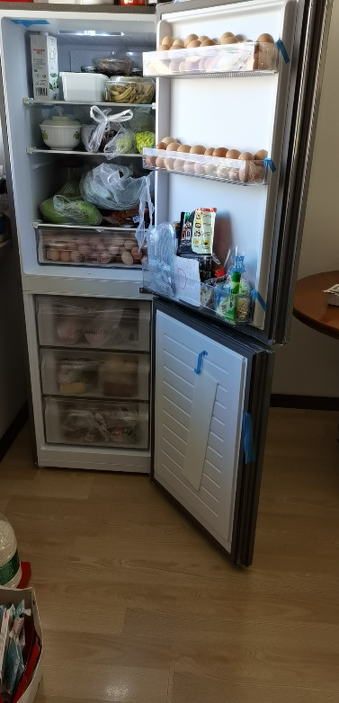 大两门电冰箱家用 冷藏冷冻 老人用 bcd-272wdpd晒单图