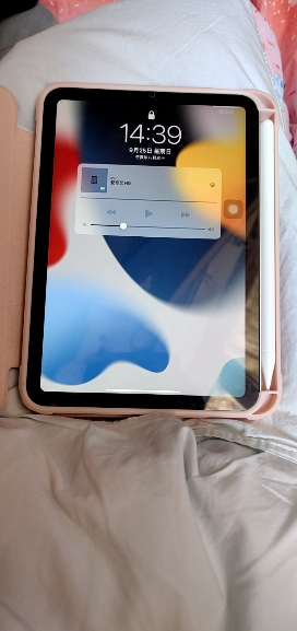 [原封]Apple iPad mini6代 256GB 国行正品 2021款 星光色 WLAN版 8.3英寸 A15仿生芯片 国行 平板电脑晒单图