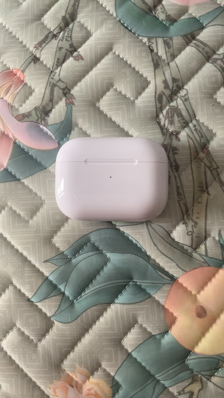 Apple 苹果 AirPods Pro一代 主动降噪无线蓝牙耳机 配MagSafe无线充电盒 海外版晒单图