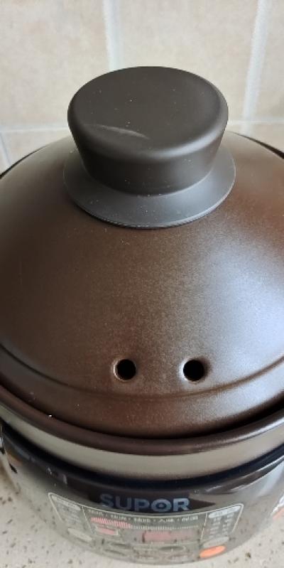 苏泊尔(SUPOR)电炖锅电炖盅煲汤锅炖汤锅 煮粥- 好不好用？质量差不差呢？