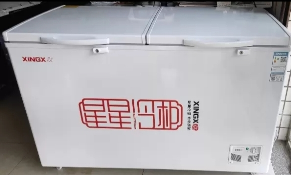 星星(XINGX)BD/BC-100JKE家用商用大容量冷藏冷冻转换单温卧式冰柜厨房商用保鲜设备微霜预涂内胆冰柜晒单图