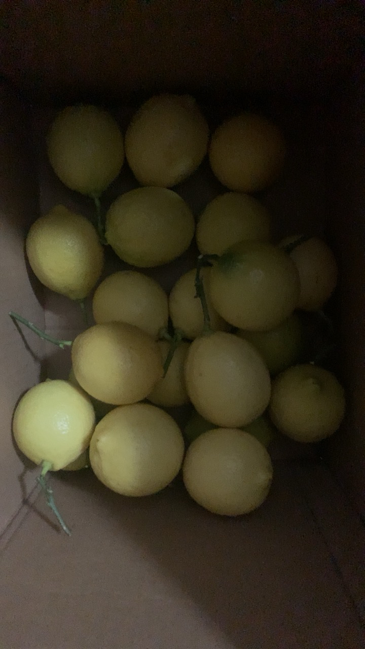 [西沛生鲜]重庆新鲜黄柠檬 净重2斤 单果 香味浓郁 皮薄多汁 新鲜水果 西沛生鲜晒单图