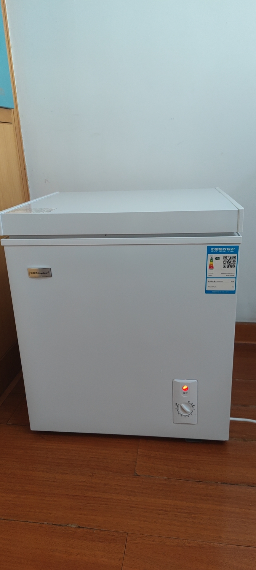 royaistar荣事达1348小冷柜一级能效家用小型冰柜冷冻冷藏保鲜柜速冻