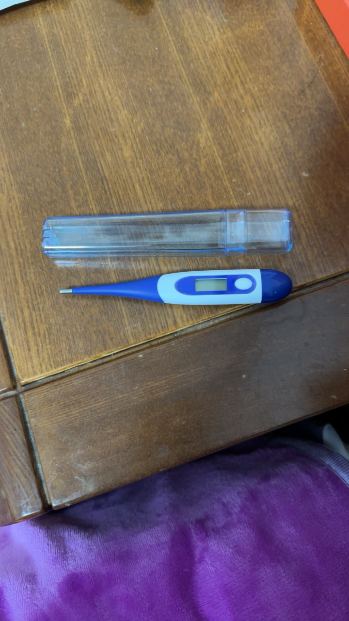 雅倍丽电子体温计axd-202 高精度家用软头 蓝色 婴儿儿童成人可用晒单