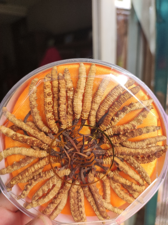 我们为您提供冬虫夏草的优质评价,包括冬虫夏草商品评价,晒单,百万