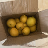 [西沛生鲜]南非进口新鲜黄柠檬 2个装 单果130-150g香味浓郁 皮薄多汁 新鲜水果晒单图
