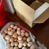 [农家自养]新鲜土鸡蛋 30枚 草鸡蛋(破损必赔)农家土鸡蛋 陈小四水果(均蛋40g)晒单图