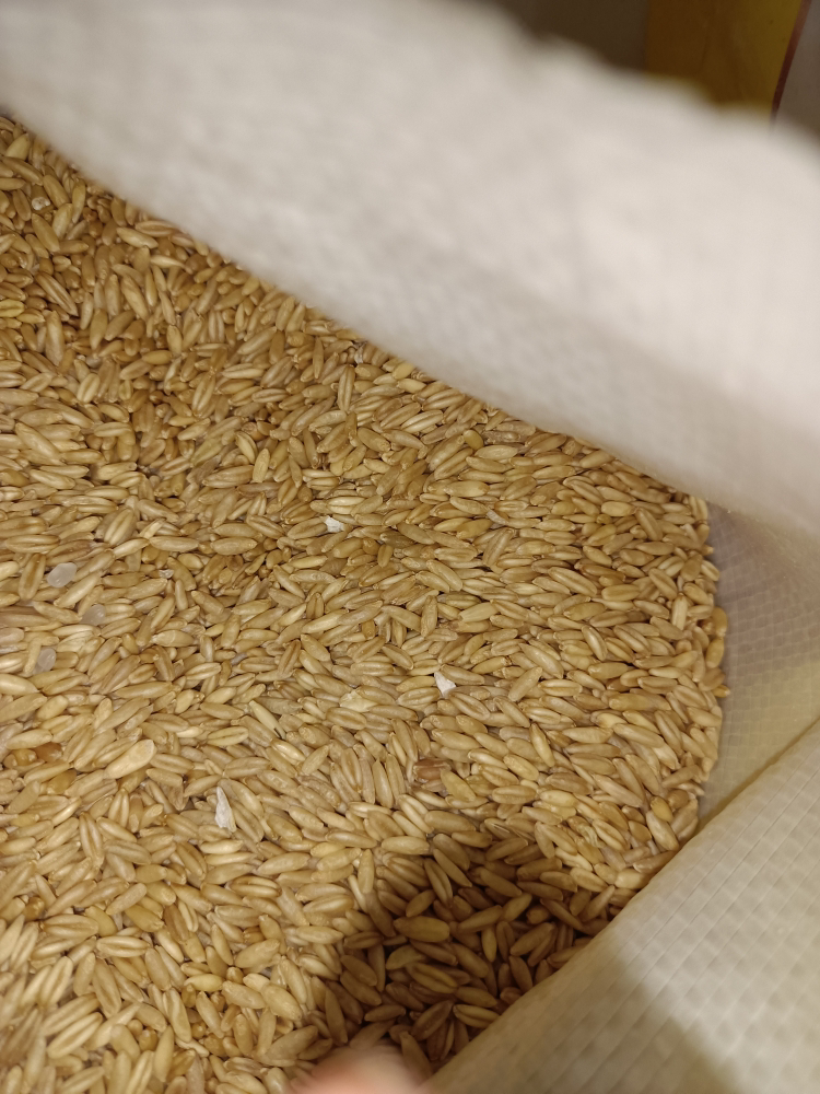 我们为您提供生燕麦米的优质评价,包括生燕麦米商品评价,晒单,百万