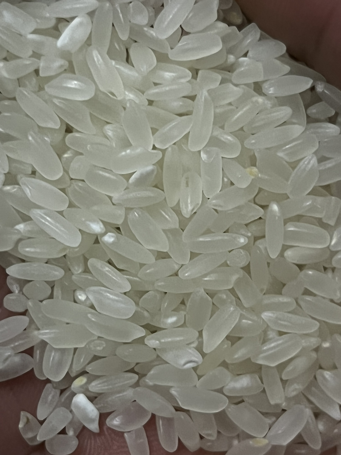 栗稻源 五常大米 2022年秋收新米 现产现发五常稻花香2号粳米 东北