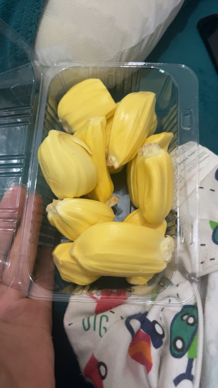 [苏鲜生]海南黄肉菠萝蜜 新鲜水果 香甜可口 1个 净重15-20斤装 热带水果晒单图