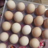 [农家自养]新鲜土鸡蛋 30枚 草鸡蛋(破损必赔)农家土鸡蛋 陈小四水果(均蛋40g)晒单图