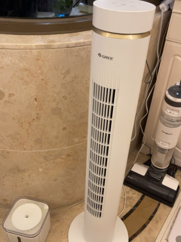 格力(GREE) 电风扇 FL-0906Bh塔扇无叶风扇 家用办公室落地扇广角摇头轻音节能立式 遥控可预约定时大风量晒单图