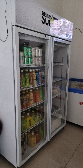 乐创饮料展示柜冷藏柜保鲜柜商用立式双开门柜冰柜大容量冰箱超市 银色 双门风冷上机组晒单图