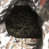 [第二份9.9元]碧螺春春茶新茶浓香型茶叶绿茶散装明前春茶100g福岗晒单图