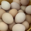 [五个农民] 30枚农家散养土鸡蛋 净重1200g以上 现捡现发 农家自养 营养美味晒单图