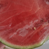 [苏鲜生]云南 新鲜麒麟西瓜 1个 5-6斤 新鲜水果 汁多肉甜晒单图