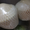 [西沛生鲜]海南椰青 当季热带水果 水果椰子 4个装 现摘现发 营养美味 清甜可口 西沛晒单图
