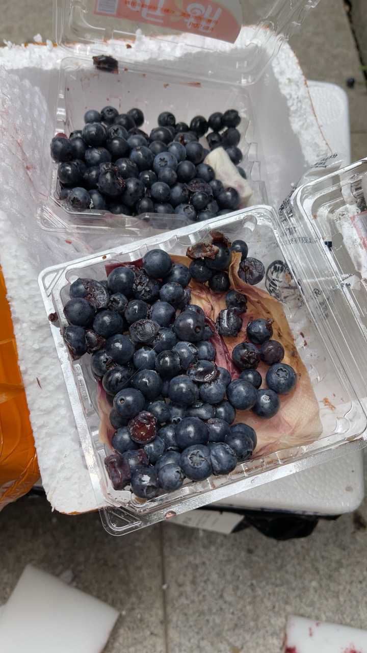 顺丰配送[西沛生鲜]云南高山蓝莓 125g盒/2盒 单果15mm以上 当季新鲜孕妇水果脆甜蓝梅甜浆果整箱晒单图