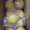 [苏鲜生]国产新鲜 重庆黄柠檬 带箱3斤装 香味浓郁 皮薄多汁 新鲜水果晒单图