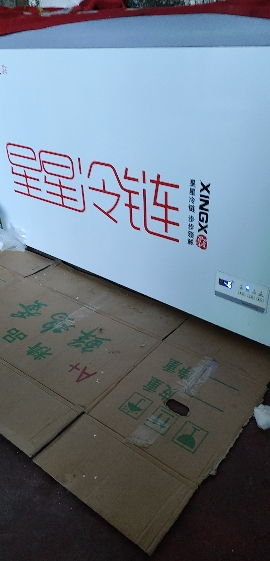 星星(XINGX)SD/SC-303BE 303升展示柜卧式冷藏冰柜商用全冷冻冷藏点菜柜 超市卖场组合柜大容量一级能效晒单图