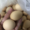 [西沛生鲜] 新鲜谷物鸡蛋 10枚 散养土鸡蛋柴鸡蛋笨鸡蛋草鸡蛋整箱晒单图