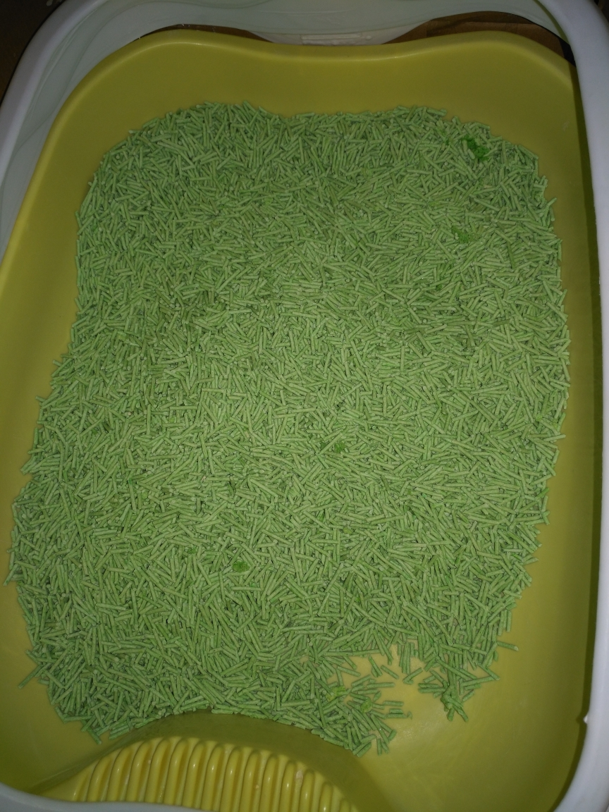 诺旦猫砂绿茶植物豆腐猫砂6L细颗粒猫砂发4袋(发货迅速)晒单图
