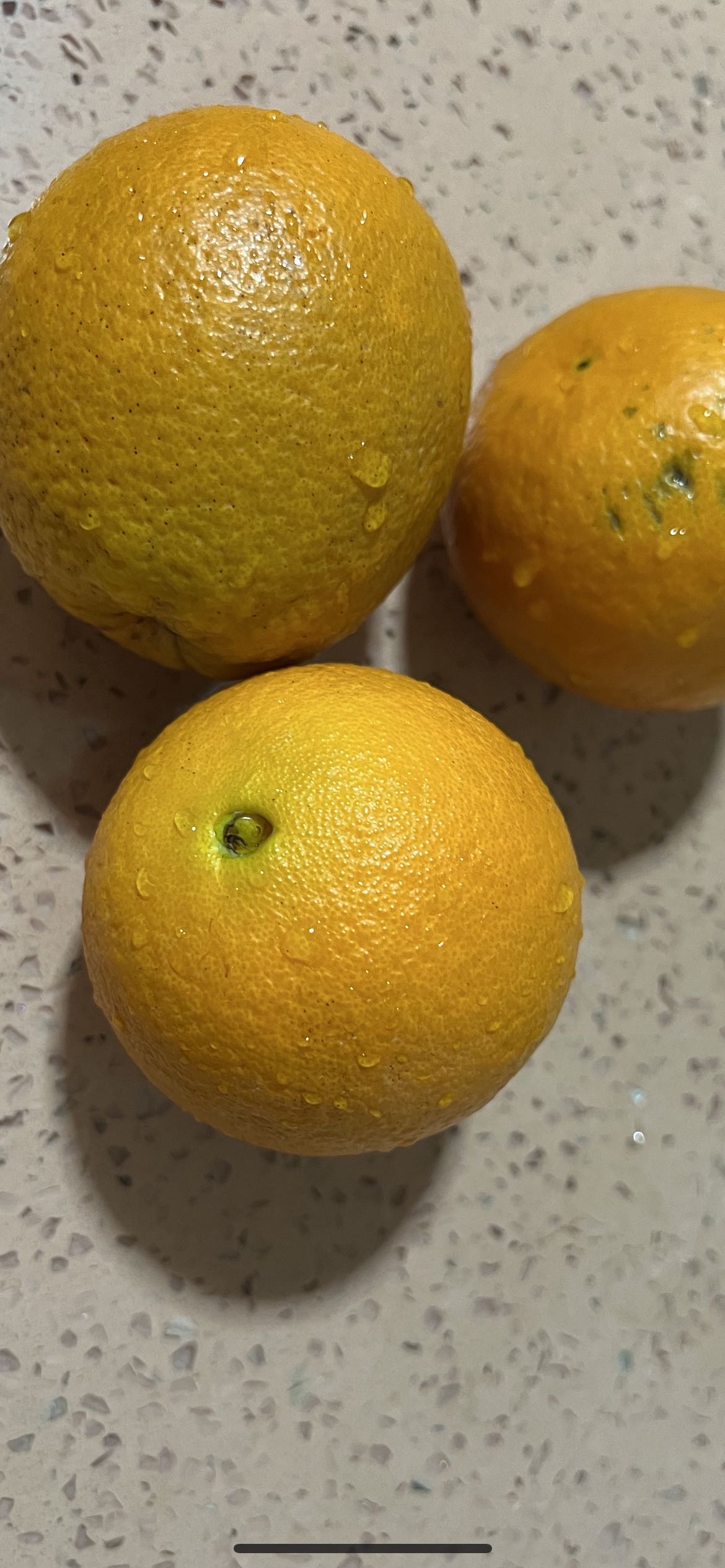 [中华特色]秭归馆 一苇农佳秭归脐橙九月红5斤装60-70mm 新鲜采摘 坏果包赔 华中晒单图