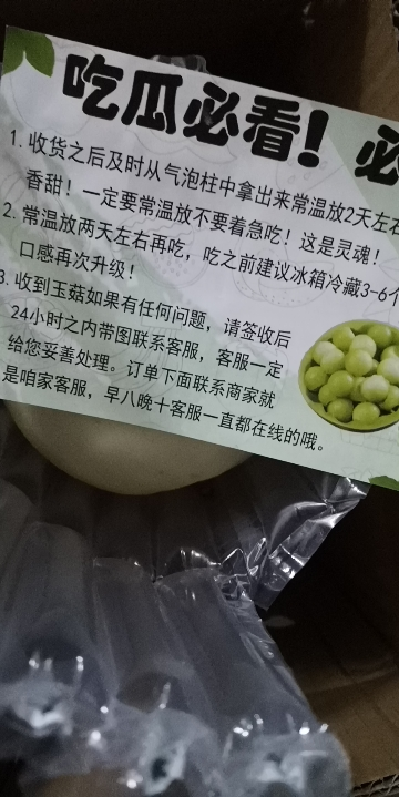 [苏鲜生]新鲜玉菇甜瓜 净重4.5-5斤 2-3个 蜜瓜香瓜 当季甜瓜新鲜水果 西沛晒单图