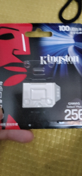 金士顿(Kingston)256GB 读速100MB/s switch内存卡(MicroSD) TF 存储卡 高品质拍摄晒单图