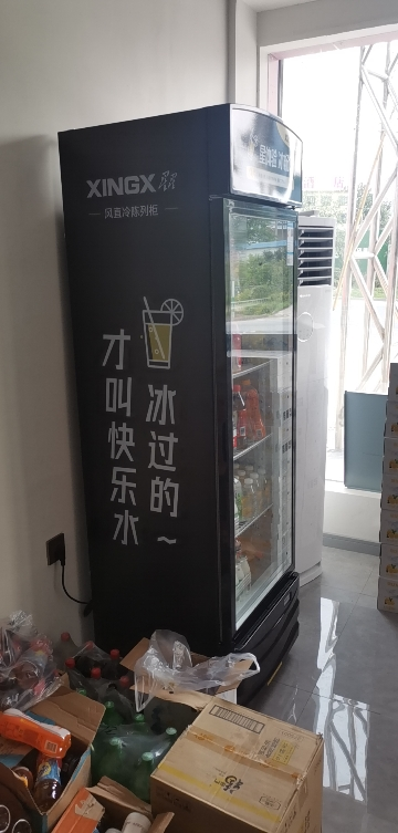 星星(XINGX)展示柜冷藏商用冰柜单门立式饮料啤酒柜便利店超市保鲜柜 343升风直冷 能装两百瓶水丨LSC-373FE晒单图