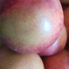 新鲜油桃 5斤 桃子 黄心油桃 新鲜水果 生鲜水果 陈小四水果 特产晒单图
