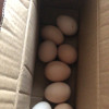 [西沛生鲜]新鲜 谷物蛋 10枚装 农家散养新鲜正宗草鸡蛋笨柴鸡蛋孕妇月子蛋整箱禽蛋晒单图