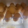 [农家自养]新鲜土鸡蛋 40枚 草鸡蛋(破损必赔)农家土鸡蛋 陈小四水果(均蛋40g)晒单图