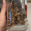五个农民琥珀核桃仁蜂蜜味500g罐装无壳即食坚果休闲零食一句话好吃