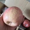 洛川红富士苹果水果 陕西苹果延安苹果6枚中果整箱75mm晒单图