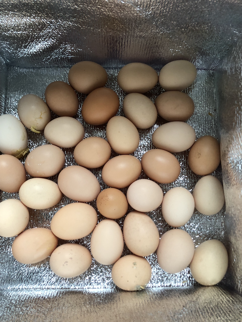 [西沛生鲜] 新鲜谷物鸡蛋 40枚 散养土鸡蛋柴鸡蛋笨鸡蛋草鸡蛋整箱晒单图