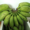 鲜木 广西小米蕉 自然熟芭蕉皇帝蕉苹果蕉 牛奶小米香蕉 新鲜当季水果精选9斤装晒单图