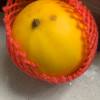 黄河蜜瓜甜瓜 3-3.5斤 1-3个 新鲜水果 水果 陈小四水果 生鲜特产晒单图